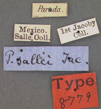 Media type: image; Entomology 8779   Aspect: labels